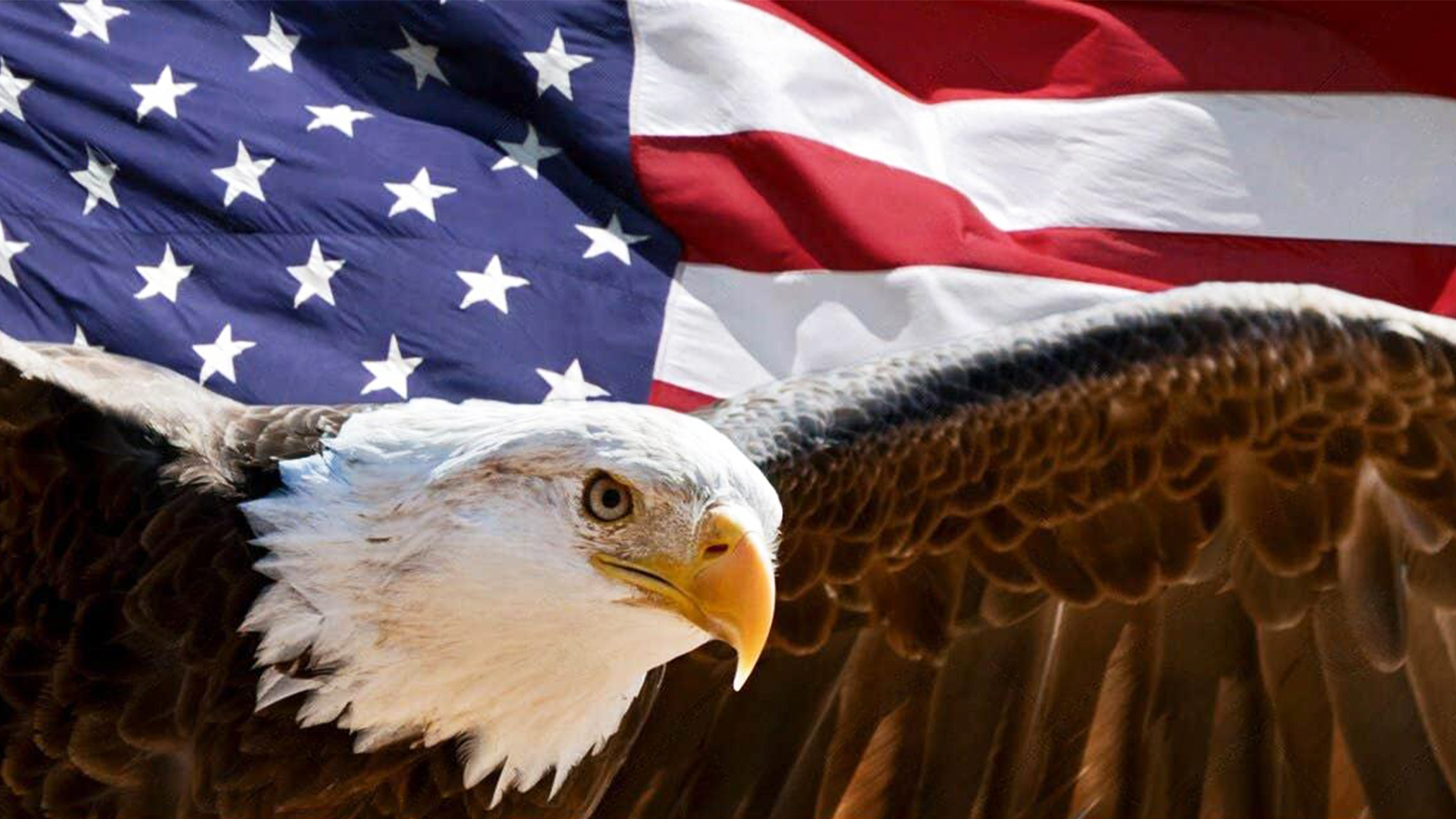 Career in United States